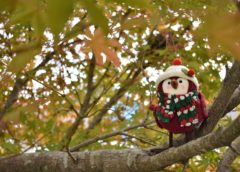 doll on tree