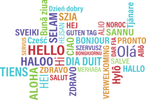 TRANSLATOR 