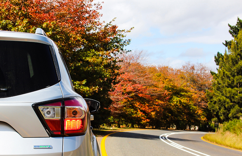 What You Need to Know About Car Rental post thumbnail image